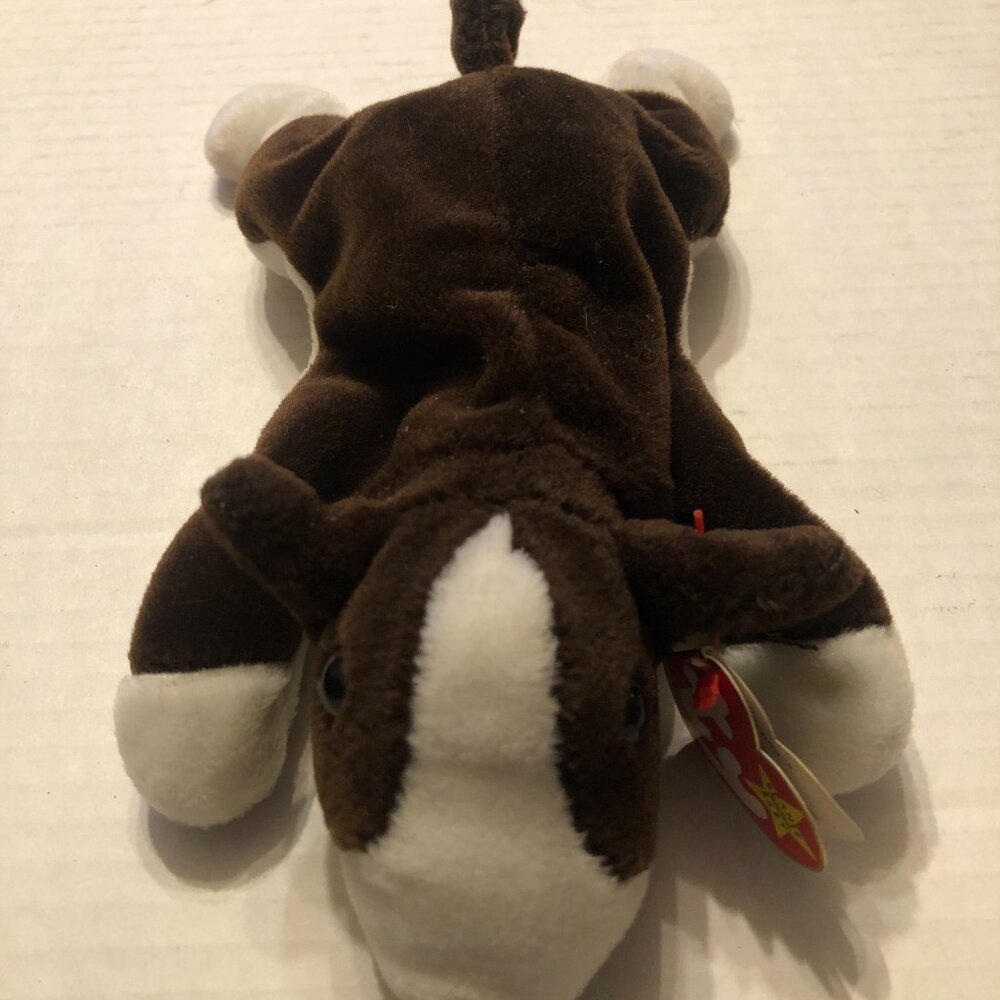 Ty new beanie baby Bruno the Bull Terrier dog 1997 with true errors - Picture 4 of 16